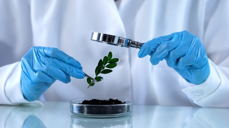Agroquímicos